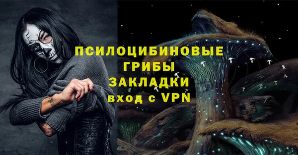 герыч Арсеньев